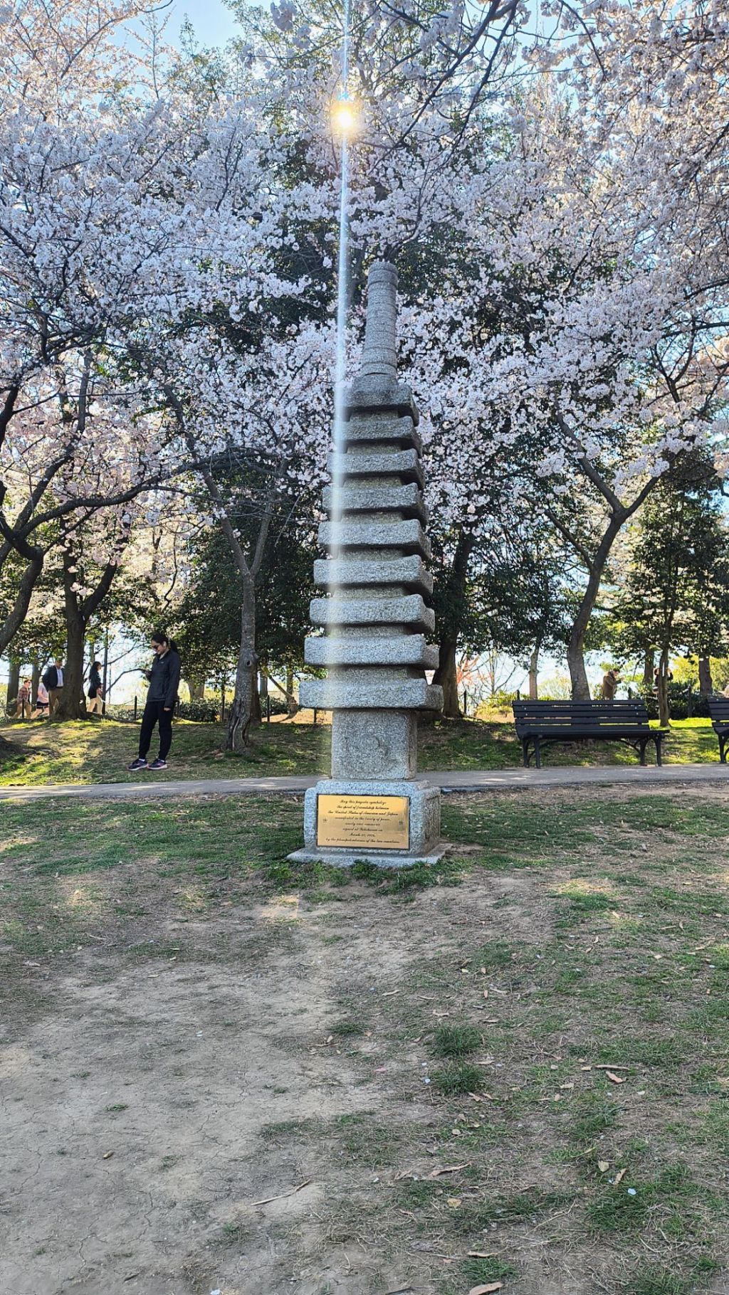 They asked me to write them a poem..